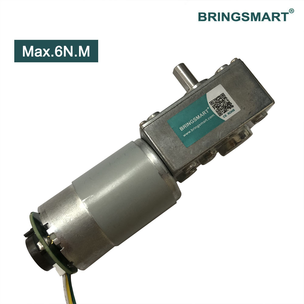 Encoder Motor